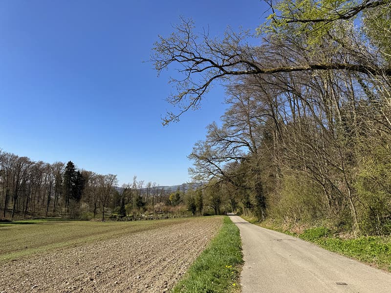 OBERENGSTRINGEN - GENIALES WOHNEN IN EINER LUXUSOASE (3)