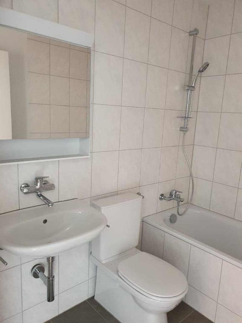 Charmante 3.5-Zimmer-Wohnung mit Bergblick in Sonceboz-Sombeval (11)