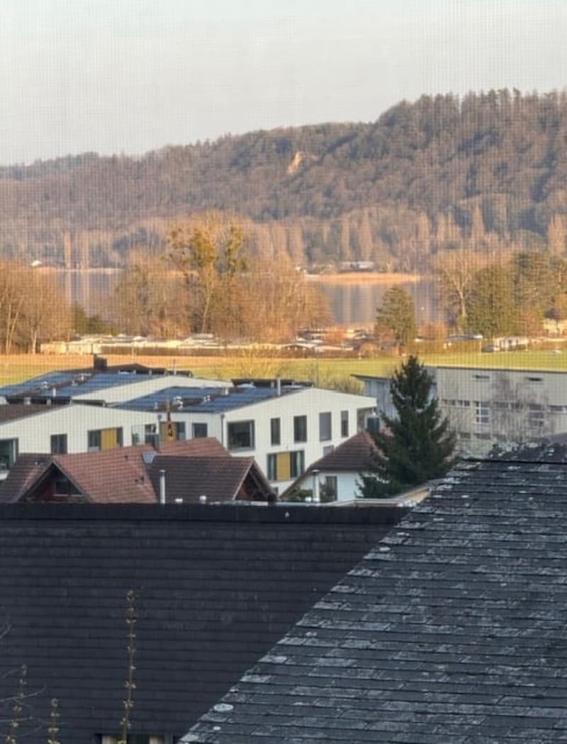 Wohnen wo andere Ferien machen - Ihr EFH am Rebberg in Erlach (16)