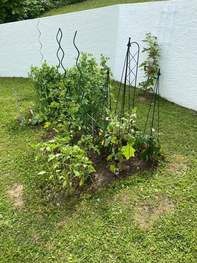Wohnen wo andere Ferien machen - Ihr EFH am Rebberg in Erlach (3)