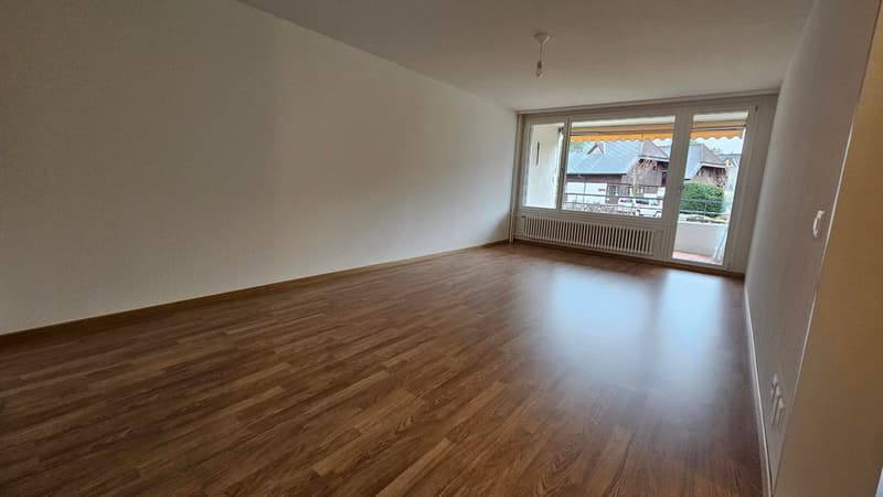 empty room, wooden floor, sliding glass door, balcony, white walls, white ceiling, white radiator