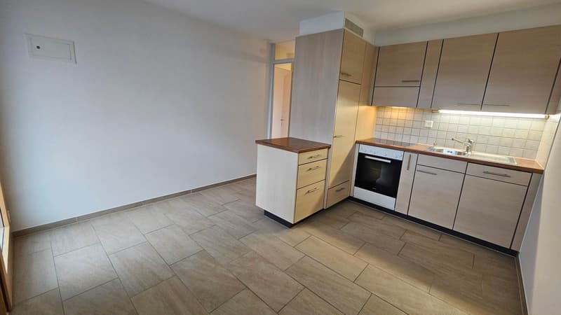 modern kitchen with wooden cabinets, tiled floor, sink, oven, dishwasher, washing machine