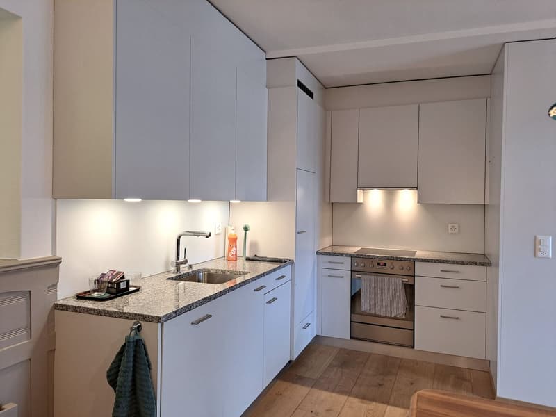 modern kitchen with white cabinets, granite countertop, stainless steel sink, faucet, built-in oven, dishwasher, wooden floor
