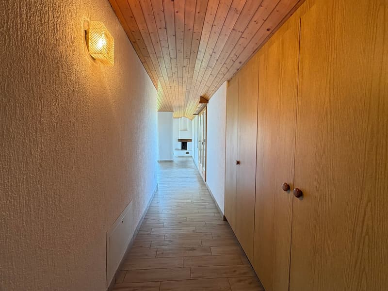 Charmante 2.5-Zimmer-Wohnung mit Bergblick in Thun (9)