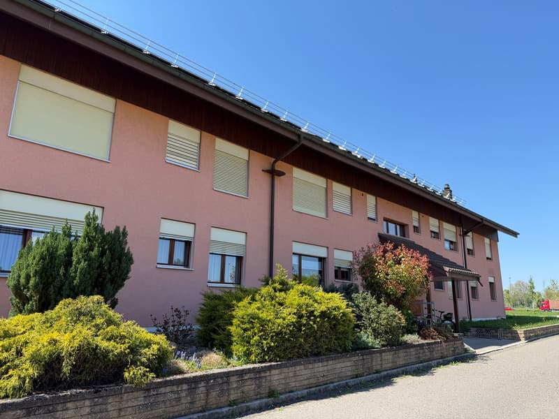 Charmante 2.5-Zimmer-Wohnung mit Bergblick in Thun (2)
