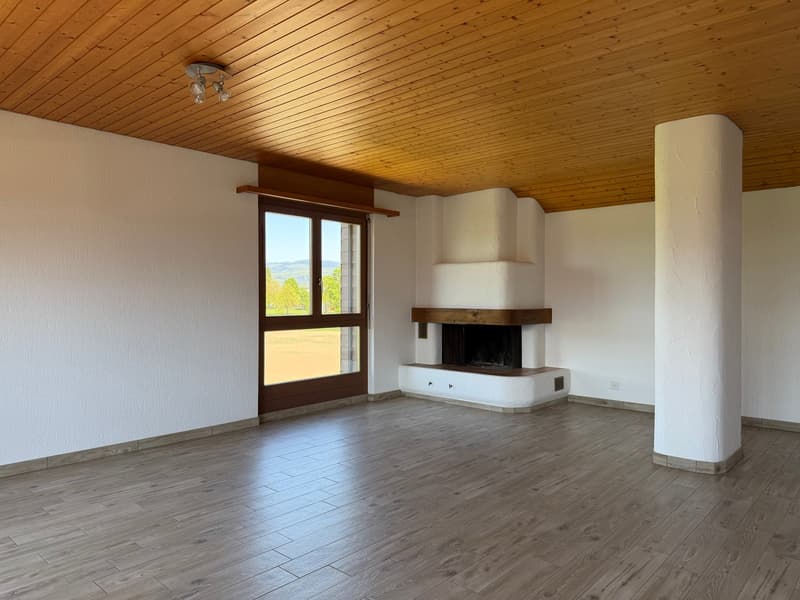 Charmante 2.5-Zimmer-Wohnung mit Bergblick in Thun (3)