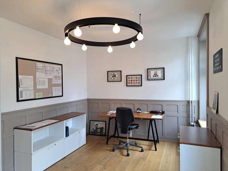 Wunderschönes Bijoux im Herzen von Thun - 3-Zimmer-Wohnung (8)