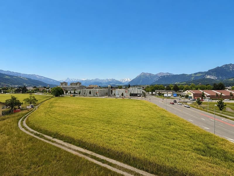 Alpenpanorama, Privatsphäre und Perfektion – exklusive 7-Zimmer Attikawohnung (3)