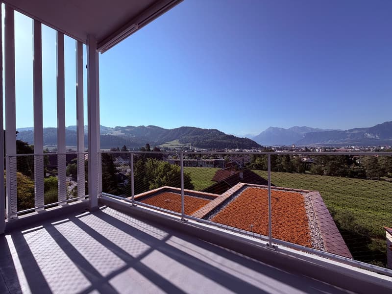 Lichtdurchflutete 4½-Zimmer-Neubau-Wohnung mit traumhaftem Alpenpanorama (6)