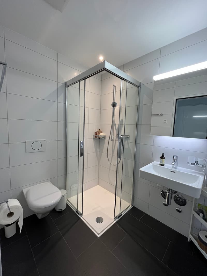 Moderne Traumwohnung in Stettlen sucht Mieter (3)