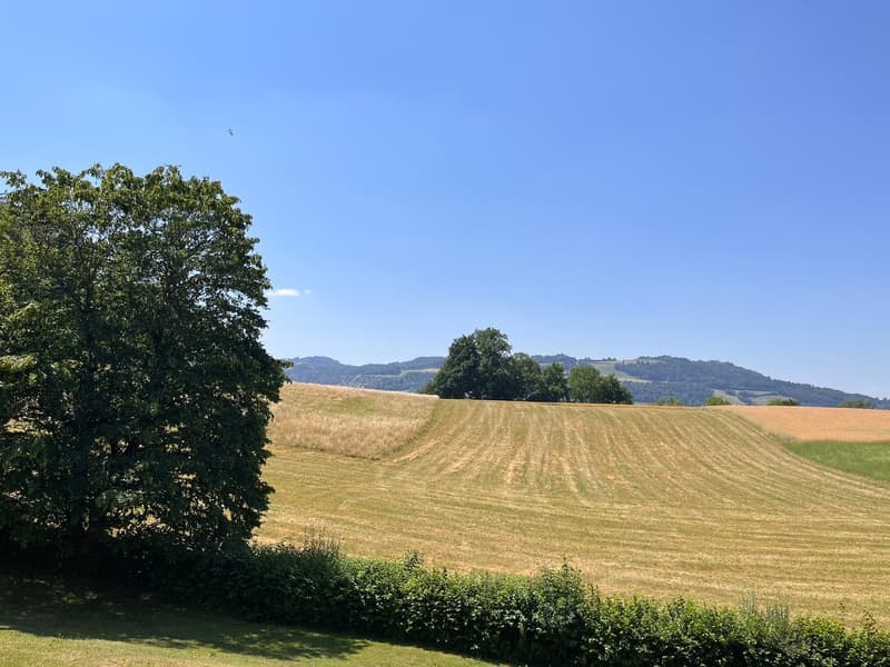 Aussicht auf den Gurten