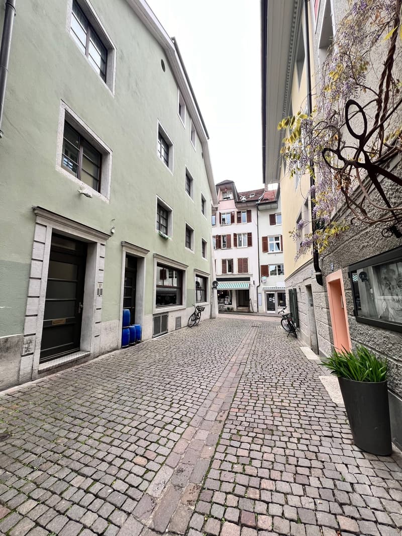 Einzigartige Wohnung über den Dächern von Solothurn (1)