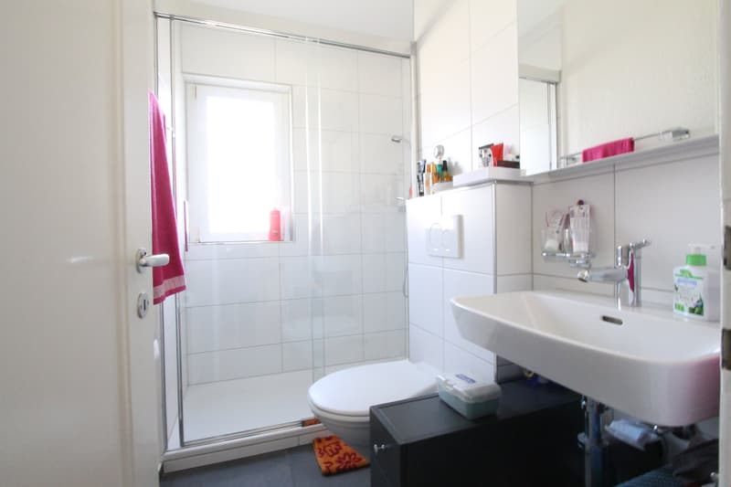 Tiled bathroom with a glass shower enclosure, a sink with vanity, and a toilet. There is a pink towel and various toiletry items visible.