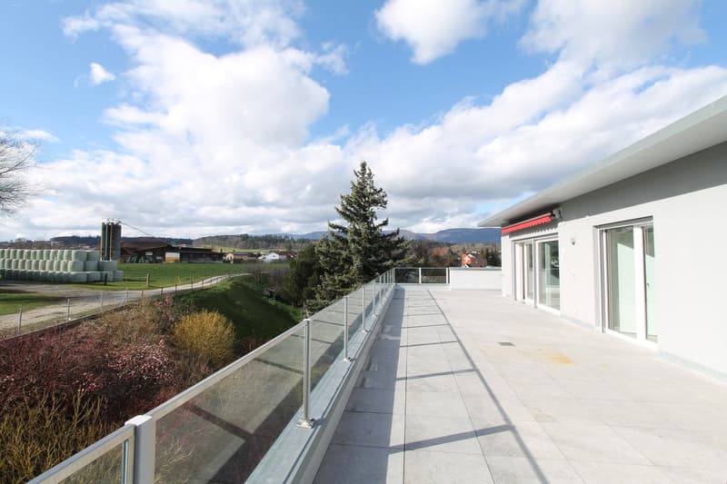 rooftop terrace with glass railing, large windows, view of surrounding area, modern architecture