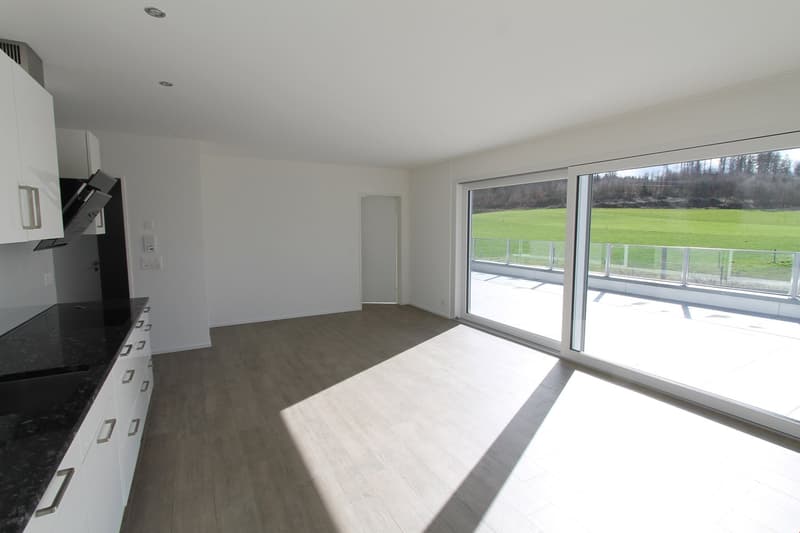 Spacious open-plan living room with large windows overlooking a grassy field, hardwood flooring, and modern kitchen appliances