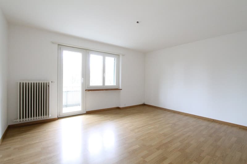 Teilrenovierte 4-Zimmer-Wohnung in Bettlach (4)