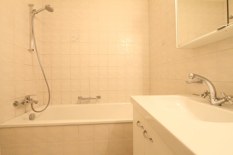 Ihre tolle Singlewohnung (7)