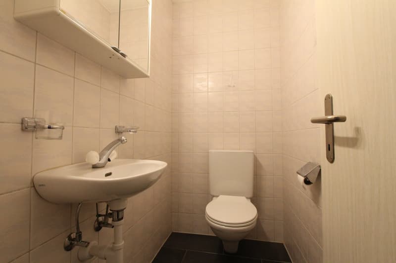 Ihre tolle Singlewohnung (6)