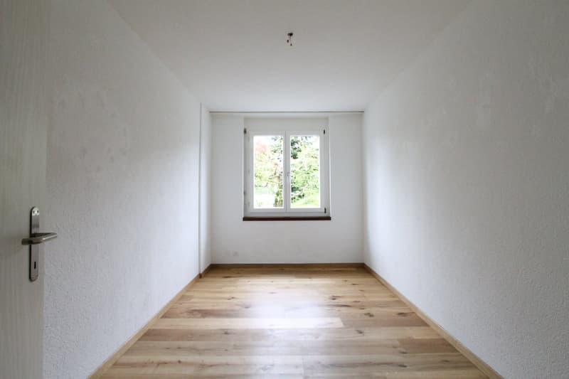 Ihre tolle Singlewohnung (5)