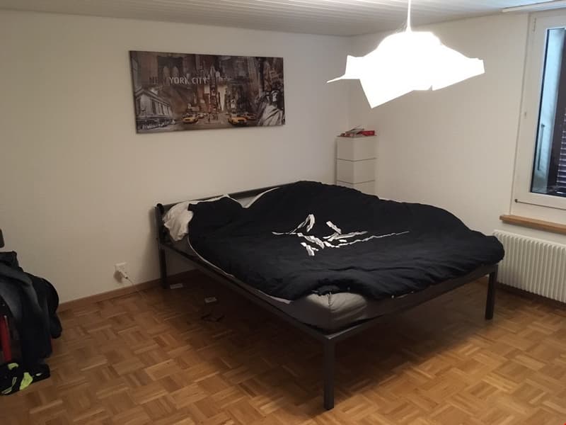 Heimelige 2- Zimmerwohnung (7)