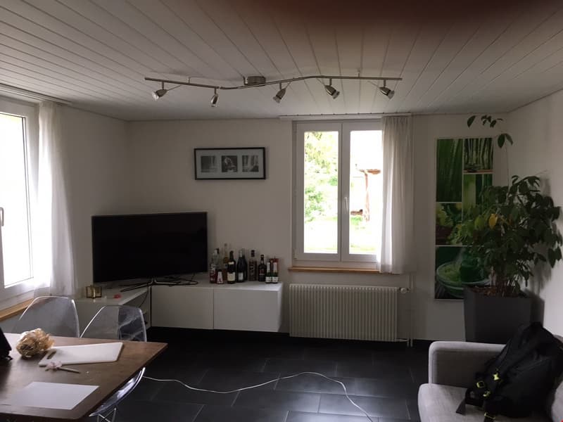 Heimelige 2- Zimmerwohnung (6)