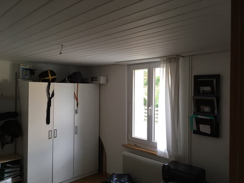 Heimelige 2- Zimmerwohnung (8)