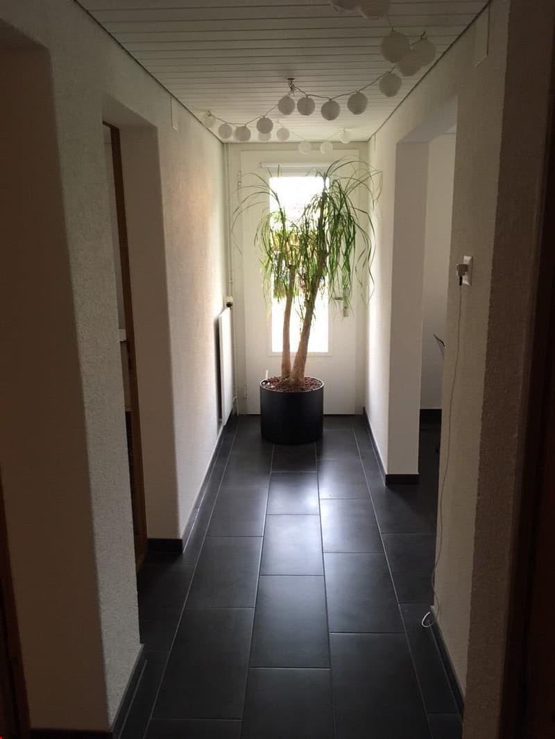 Heimelige 2- Zimmerwohnung (4)