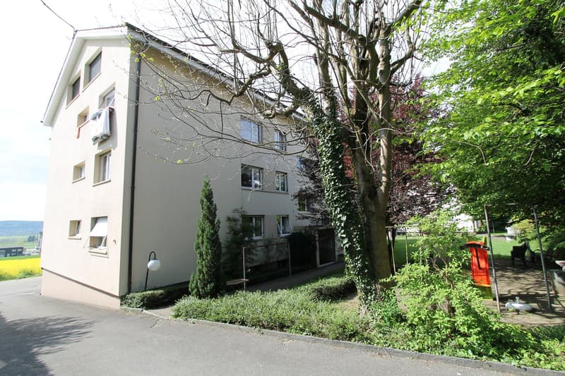 2.5 Zimmer mit traumhafter Aussicht in Bettlach (12)