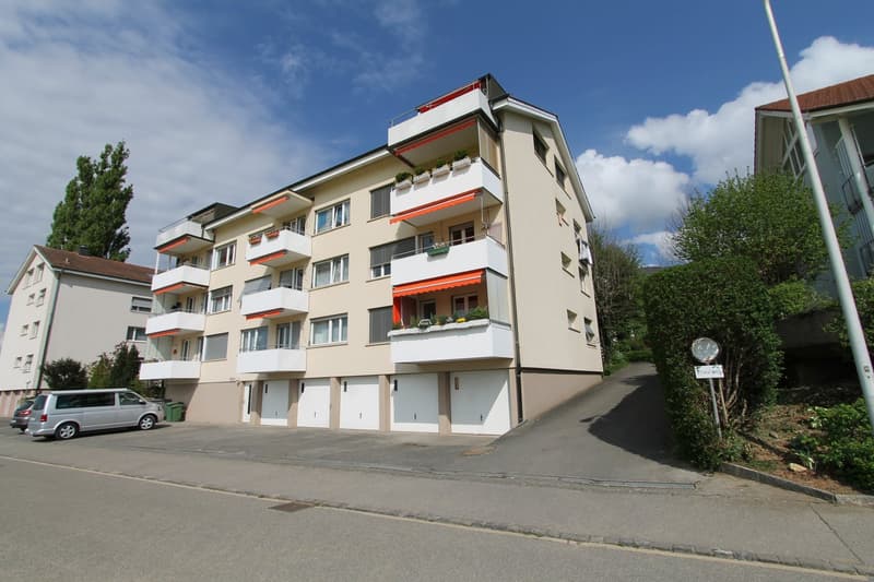 2.5 Zimmer mit traumhafter Aussicht in Bettlach (10)