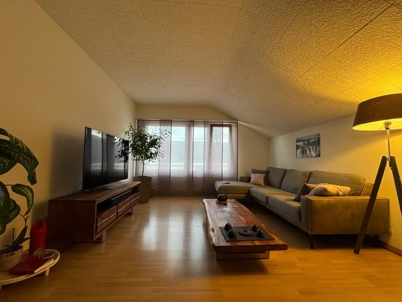 2.5 Zimmer mit traumhafter Aussicht in Bettlach (3)