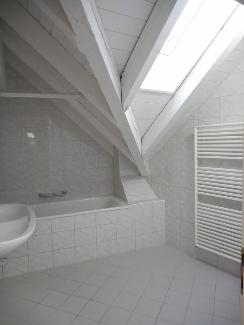 3.5-Zimmer-Dachwohnung beim Schaffhauserplatz (3)
