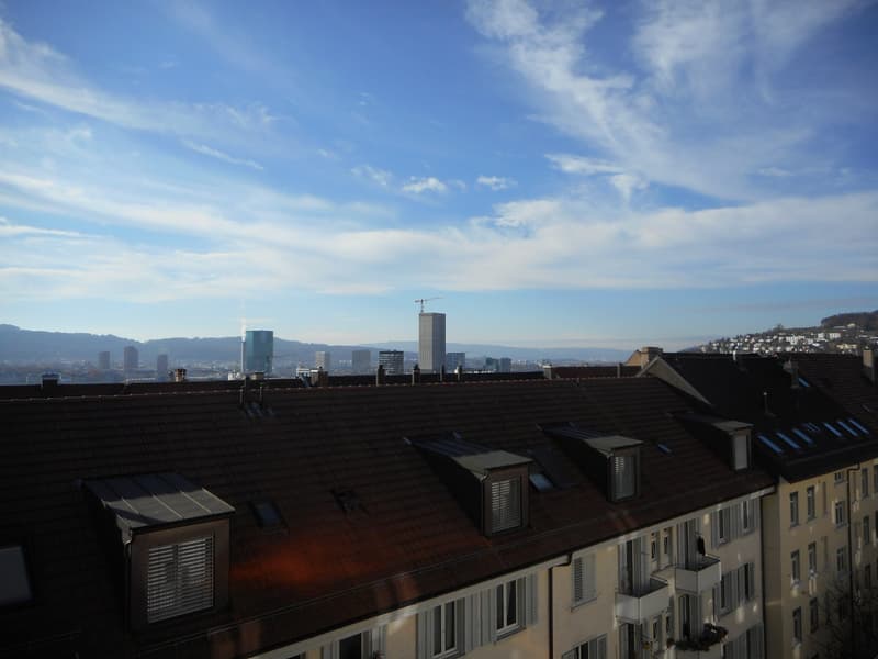 3.5-Zimmer-Dachwohnung beim Schaffhauserplatz (6)