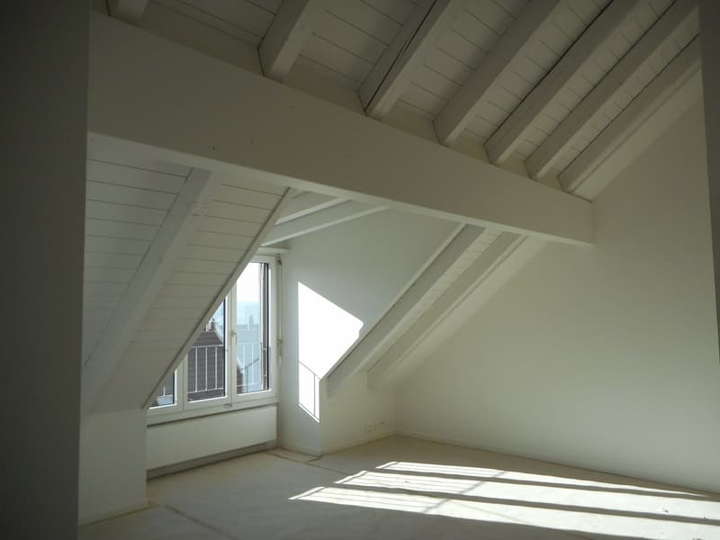 3.5-Zimmer-Dachwohnung beim Schaffhauserplatz (4)