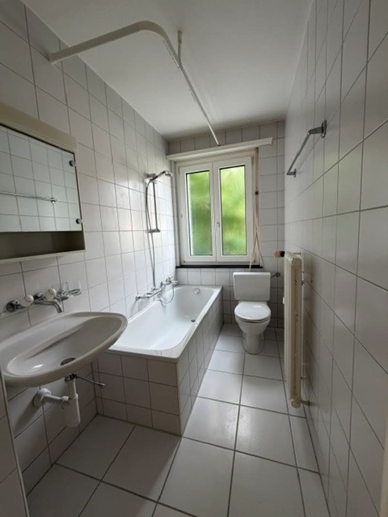 3.5-Zimmerwohnung mit grossem Balkon (14)