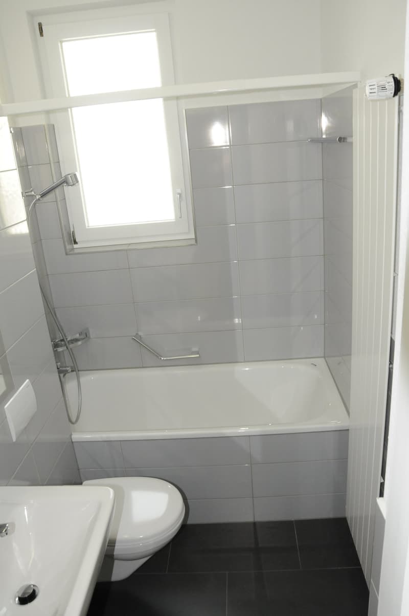 Kreis 7 - 3-Zimmerwohnung in ruhigem Wohnquartier (4)