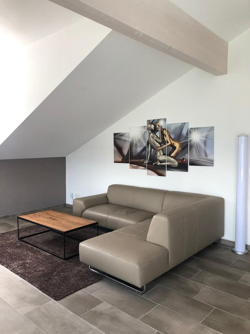 Magnifique app en attique contemporaine (3)