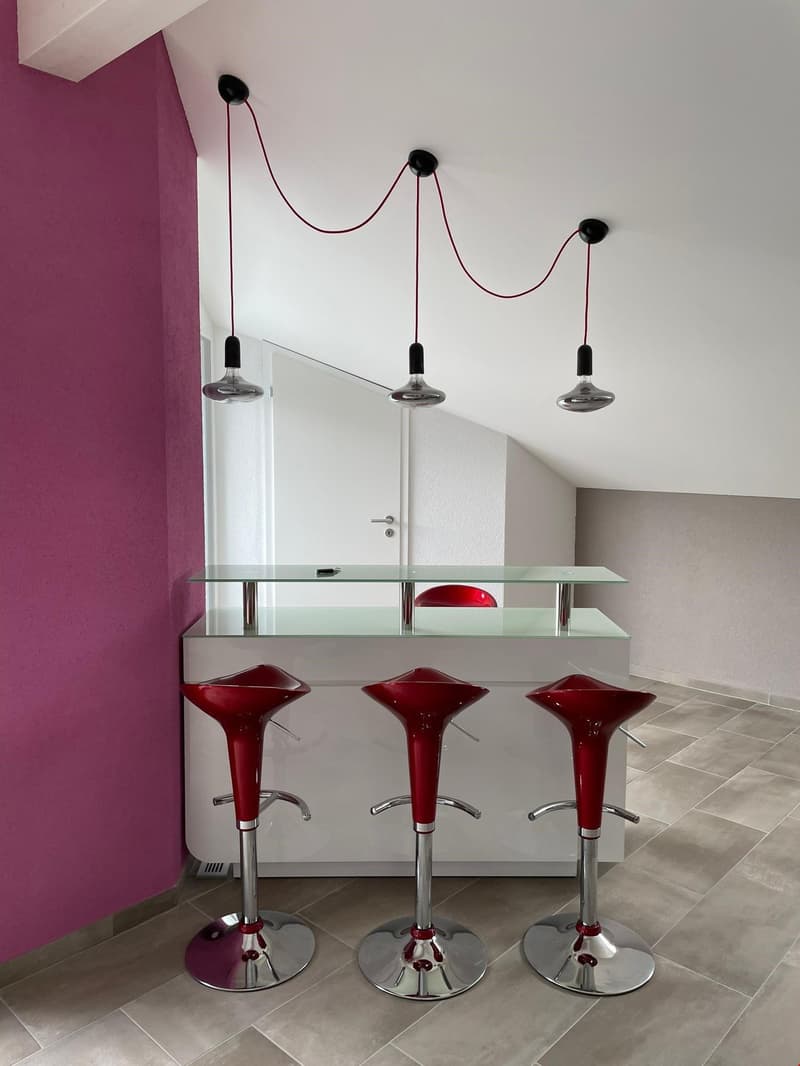 Magnifique app en attique contemporaine (4)