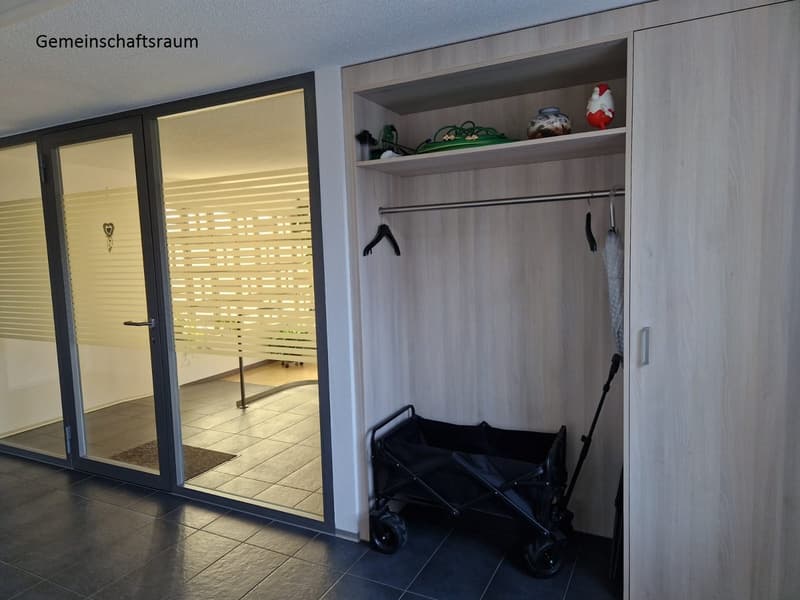 entrance area with sliding glass doors, tiled floor, wardrobe with hanging rod, pushcart, decorative items on the shelf
