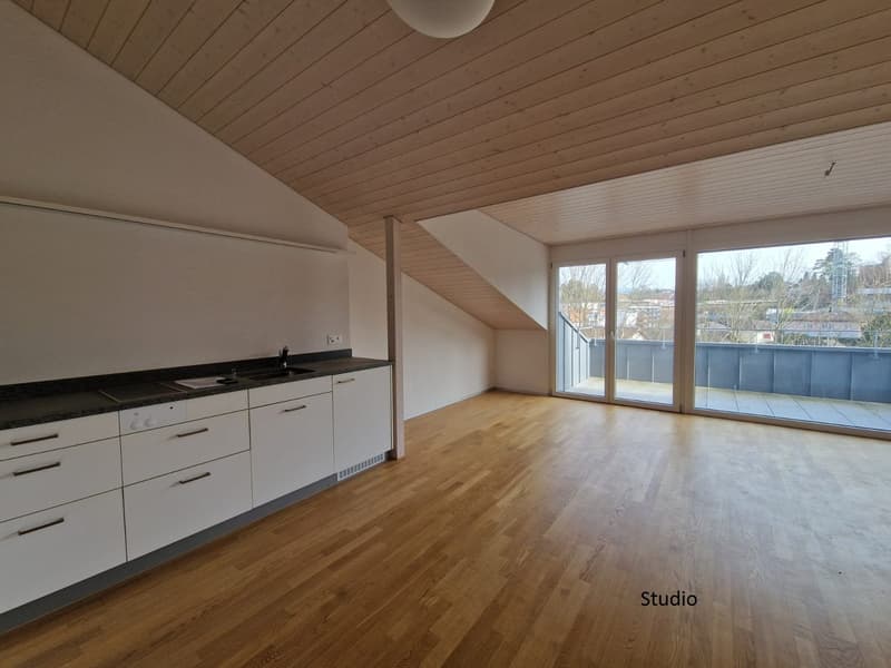 white kitchen cabinets, black countertops, sink, faucet, dishwasher, wooden floor, glass doors leading to balcony, ceiling lights