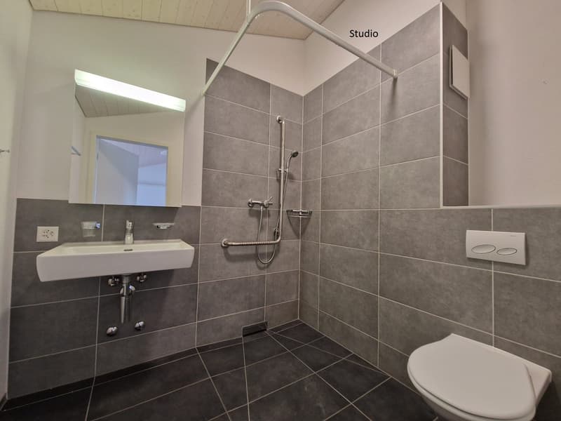 Gray tiles, white toilet, shower with showerhead, mirror, white sink, electrical outlet