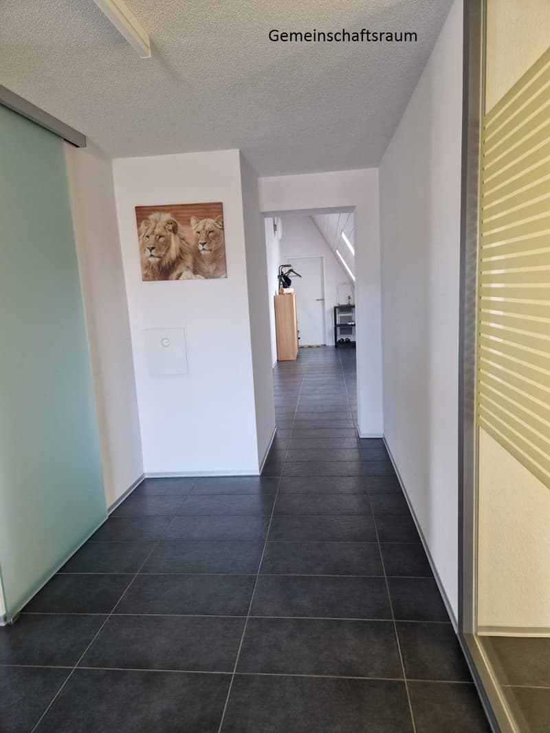 Long hallway with black tiles, white walls, and a picture of lions on one wall. An open door leads to a wooden cabinet and a smaller room.