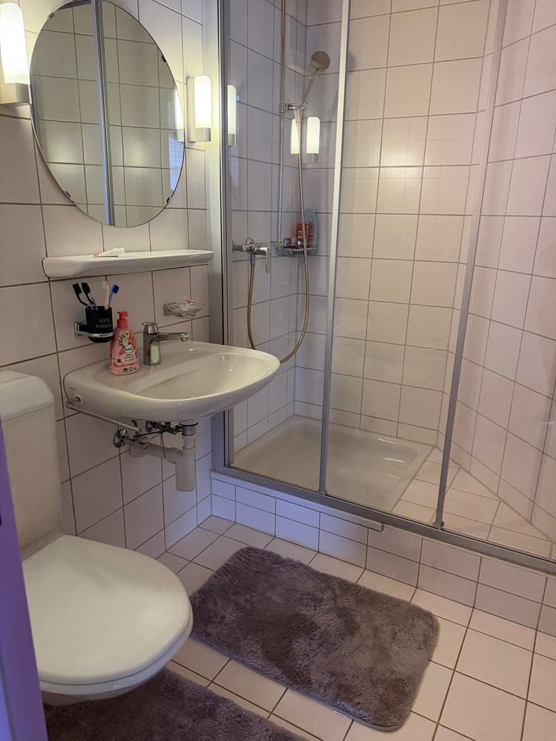 Grosszügige 4.5-Zimmer-Dachwohnung mit Bergblick in Tafers (5)