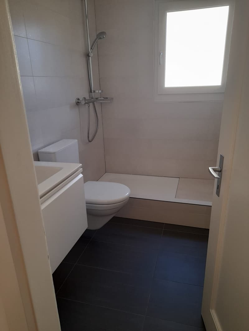 Renovierte 3.5-Zimmer-Wohnung mit Balkon (4)