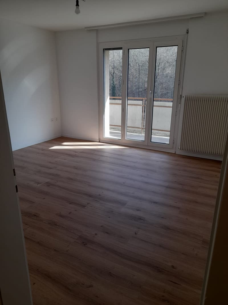 Renovierte 3.5-Zimmer-Wohnung mit Balkon (6)