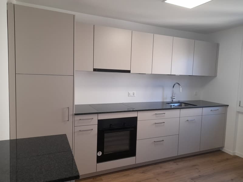 Renovierte 3.5-Zimmer-Wohnung mit Balkon (5)