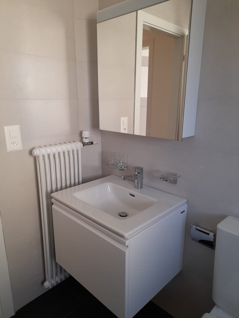 Renovierte 3.5-Zimmer-Wohnung mit Balkon (3)