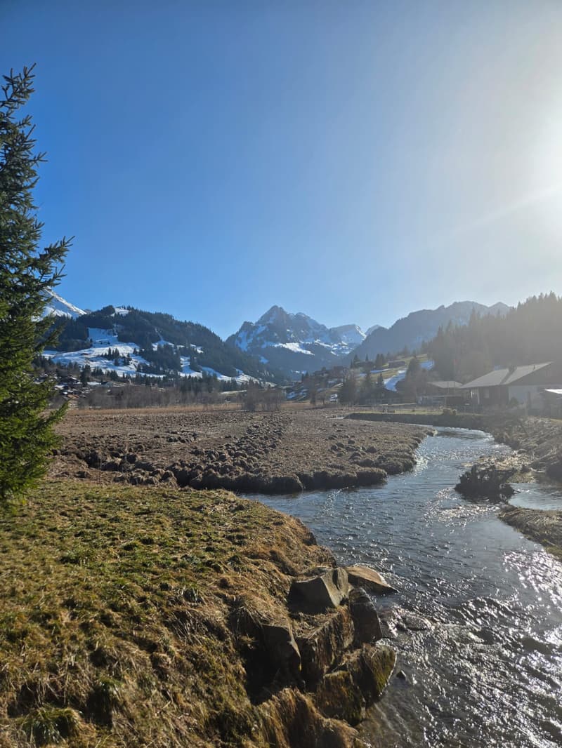 Charmante 2-Zimmer-Dachwohnung in ruhiger Lage am Schwarzsee (5)