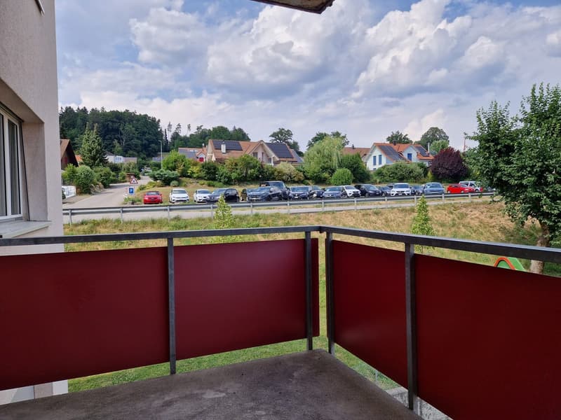 Helle 4.5 Zimmerwohnung im 2. Stock (ohne Lift) mit Ausblick (8)