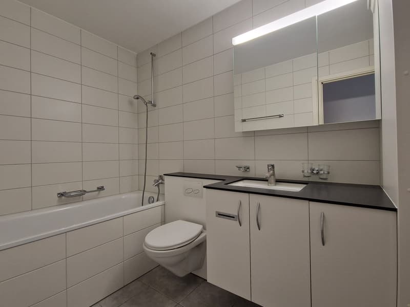 Helle 4.5 Zimmerwohnung im 2. Stock (ohne Lift) mit Ausblick (14)