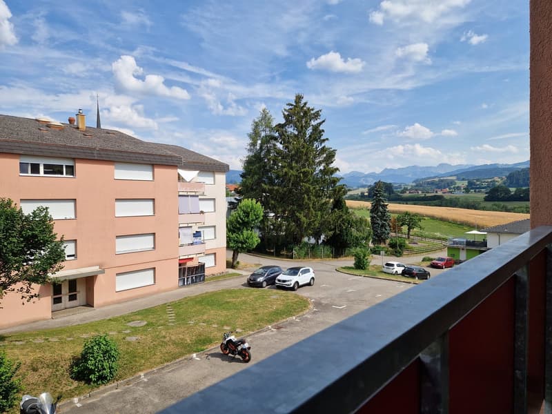 Helle 4.5 Zimmerwohnung im 2. Stock (ohne Lift) mit Ausblick (9)